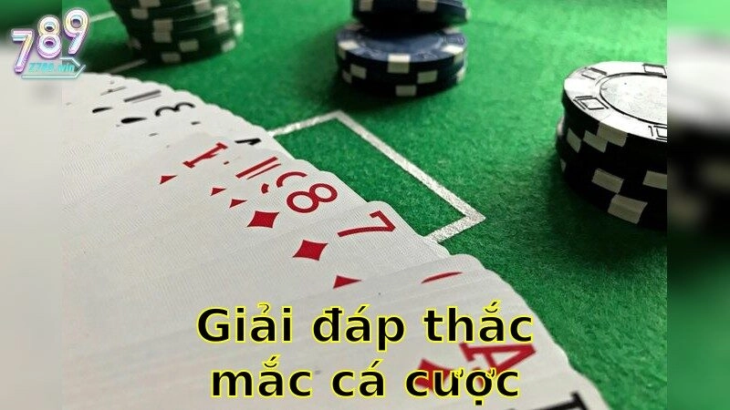 Giải Đáp Thắc Mắc Cá Cược Online – Hiểu Rõ Từ A–Z 2025